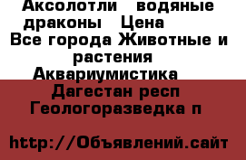 Аксолотли / водяные драконы › Цена ­ 500 - Все города Животные и растения » Аквариумистика   . Дагестан респ.,Геологоразведка п.